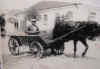 horse2.jpg (20493 bytes)