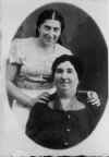 figezipr.jpg (23633 bytes)