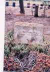 y-polikman-kever.JPG (62397 bytes)