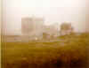 tirat6.jpg (31561 bytes)