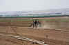 gezer6.jpg (35237 bytes)